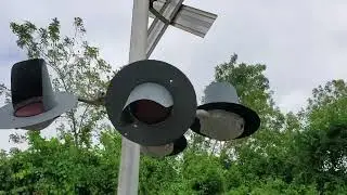 Abandoned Railroad Crossing Coming Back to Life ?