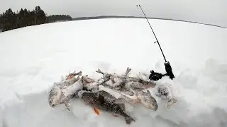 Рыбалка в Карелии на Озере Вендюрское в Мороз на 8 Марта!
