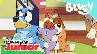 Bluey: Compilado Momentos Entrañables | Disney Junior Oficial