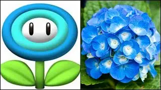 Mario Power-Ups And Their Real Life Counterparts