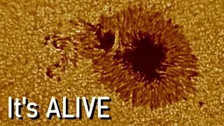 Movement on the Surface of the Sun, captured with my Telescope