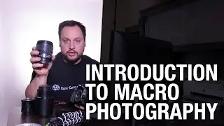 Beginners Guide to Macro Photography: Equipment, Setup, Tricks and Tips