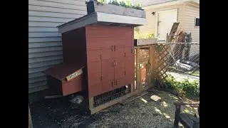 Chicken Coop Time Lapse