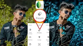 How to Use Preset In Snapseed App? Snapseed New Photo Editing Trick | snapseed presets