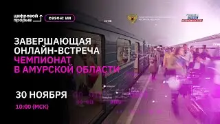 Завершающая онлайн-встреча. Чемпионат в Амурской области