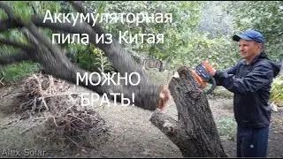 Аккумуляторная пила из Китая. Тестирую.