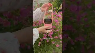 Капхолдер 🧋🩷 не забудь поставить лайк и подписаться🥰