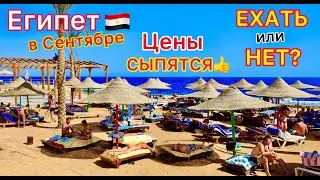 Египет в СЕНТЯБРЕ 2024🇪🇬 ВАЖНО❗️ Туры ДЕШЕВЕЮТ! ЛЕТЕТЬ или НЕТ на отдых? ПОГОДА, ветер, МАНГО, море