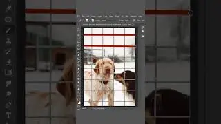 Quick Trick - Remove Anything in Photoshop #shorts