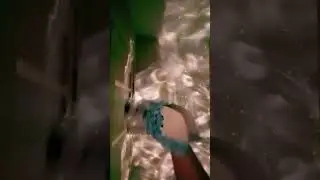 знакомьтесь, Жасмин 🥰