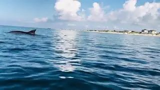 Анапа 13 сентября 2021 Чёрное море Пляж Дельфин Anapa 13 September 2021 Black Sea