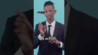 🤣 Морские Львы И-БУТ ПИНГВИНОВ? (ДА Ладно!) 🤣 