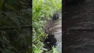 Дуся обожает цветочки. 