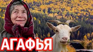 Агафье Лыковой  привезли козла и козу 7 невероятных фактов которых вы не знали