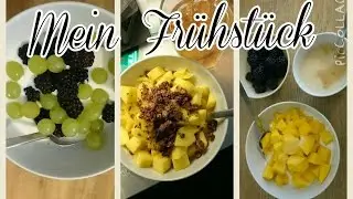 Mein Frühstück I 9 TAGE I Food Diary