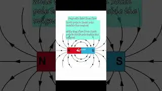 magnetic field line 
