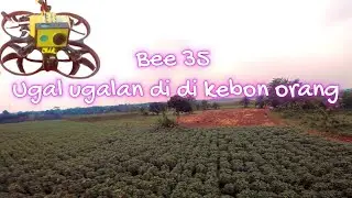 Gass terus drone nya sampai battrai habis- speedybee bee35 main di kebon singkong