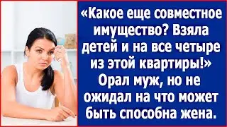 Ты ж не работала, в декрете сидела, какое еще совместное имущество?! Возмущался муж