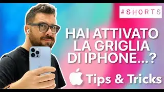 HAI ATTIVATO LA GRIGLIA DI IPHONE? 