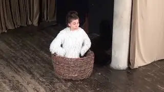 Курица и петухи