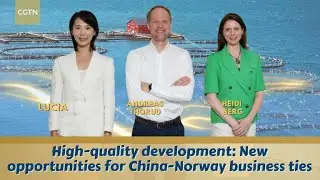 High-quality development: New opportunities for China-Norway business ties