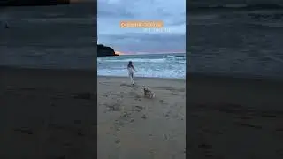 Пока не выходят новые видео (я не успеваю 🥲) шлю вам небольшой привет с коллекцией осенних закатов