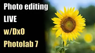 Photo Editing Live with DxO Photolab 7: Send me your photos - Link Below! ep.126