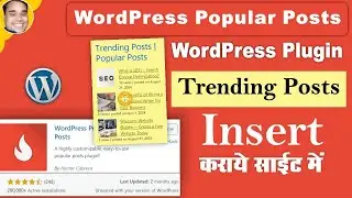 How to use pouplar posts wordpress plugin | Popular trending posts insert wordpress plugin