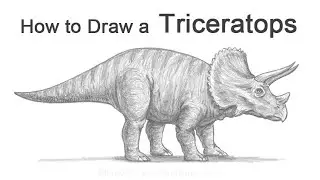 How to Draw a Triceratops Dinosaur