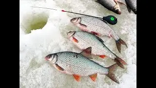 Раздача плотвы в Креницах! Ловля в режиме лифта