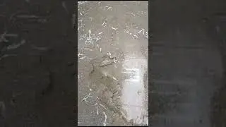 Уборка часть1