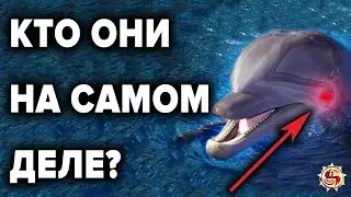 ДЕЛЬФИНЫ  🐬  ЧТО МЫ НЕ ЗНАЕМ О НИХ ? ТОП 10 ФАКТОВ РАЗУМНОСТИ  ДЕЛЬФИНОВ