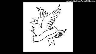 Lil Peep - absolute in doubt (ft. wicca phase springs eternal) [BEST ACAPELLA ON YOUTUBE]