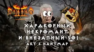 Хардкорный некромант и внезапный SoJ — Акт 5 Найтмар — Diablo 2 Resurrected