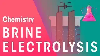 Electrolysis of Brine | Reactions | Chemistry | FuseSchool