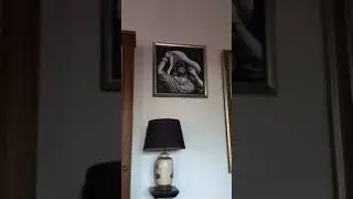 Мой самый любимый замок Чехии! Проведу и Вас по тайным залам замка! Внимание! Здесь живет настоящее