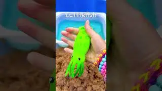 Finding Sea Animal Toys in Sand & Learn their Names: Fiddler Crab Hermit Crab Cuttlefish Lion Fish