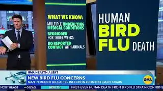 1st fatal human case of bird flu subtype confirmed in Mexico: WHO