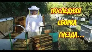 ПОСЛЕДНЯЯ СБОРКА ГНЕЗДА.. НО!   4.10.2020г.