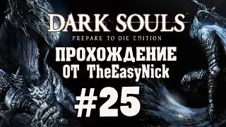 Dark Souls: Prepare To Die Edition. #25. Новый прикид и заклинания.