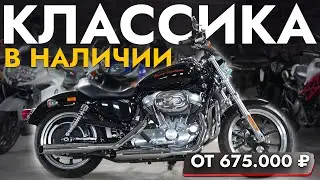 ТОП ЧОППЕРОВ И КРУИЗЕРОВ ИЗ ЯПОНИИ❗️ОБЗОР ЦЕН❗️ HARLEY-DAVIDSON I HONDA I YAMAHA ❗️ ИЮЛЬ 2024