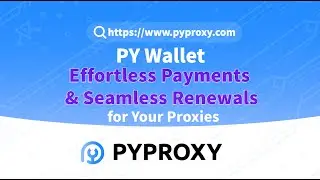 PYPROXY | PY Wallet Effortless Payments & Seamless Renewals for Your Proxies