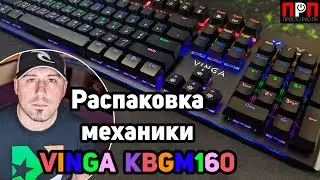 Распаковка бюджетной механической клавы Vinga KBGM160.