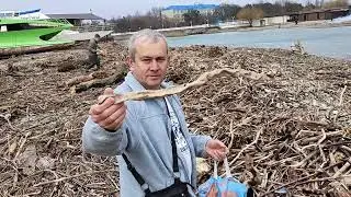 18 марта на пляже в Архипо-Осиповке
