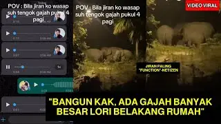 AKAK TERIMA WHATSAPP PUKUL 4 PAGI🔴 RUPANYA JIRAN TERUJA TENGOK GAJAH MASUK TAMAN PERUMAHAN