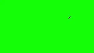 Ant Animations Climbing Green Screen