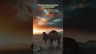 Страшная тайна высохшего Аральского моря в Казахстане #шортс