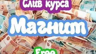 Денежный магнит. Слив курса. От 3000 рублей в сутки на автомате