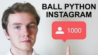 How To Grow Your Ball Python Instagram Business Page | 0-1000 Followers