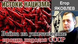 Историк Егор Яковлев. Лекция 